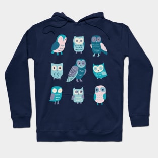 Autumn Owls - teal, aqua and cotton candy pink by Cecca Designs Hoodie